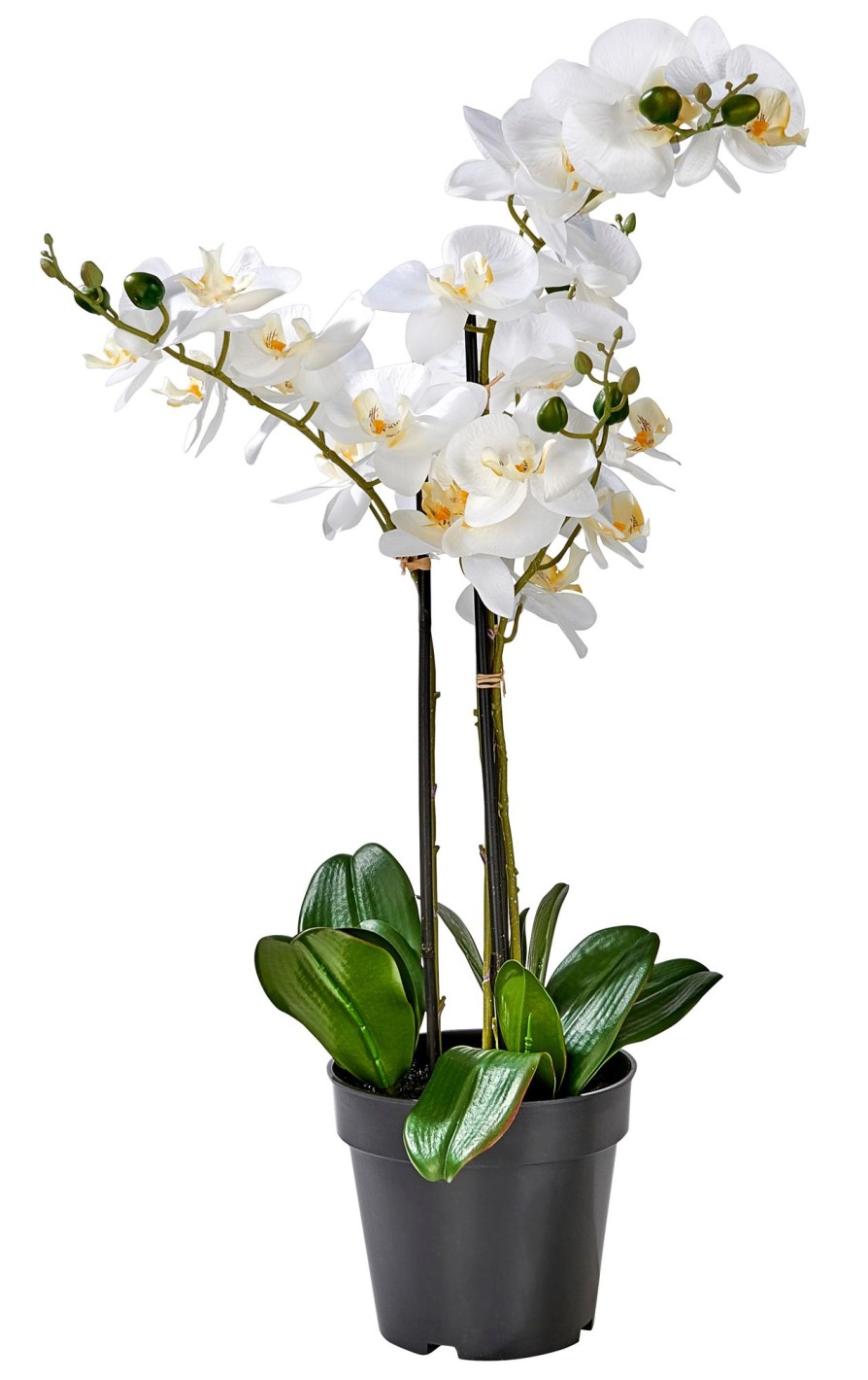 CASA Plantas Artificiales | Orchid Orquidea En Maceta Blanco